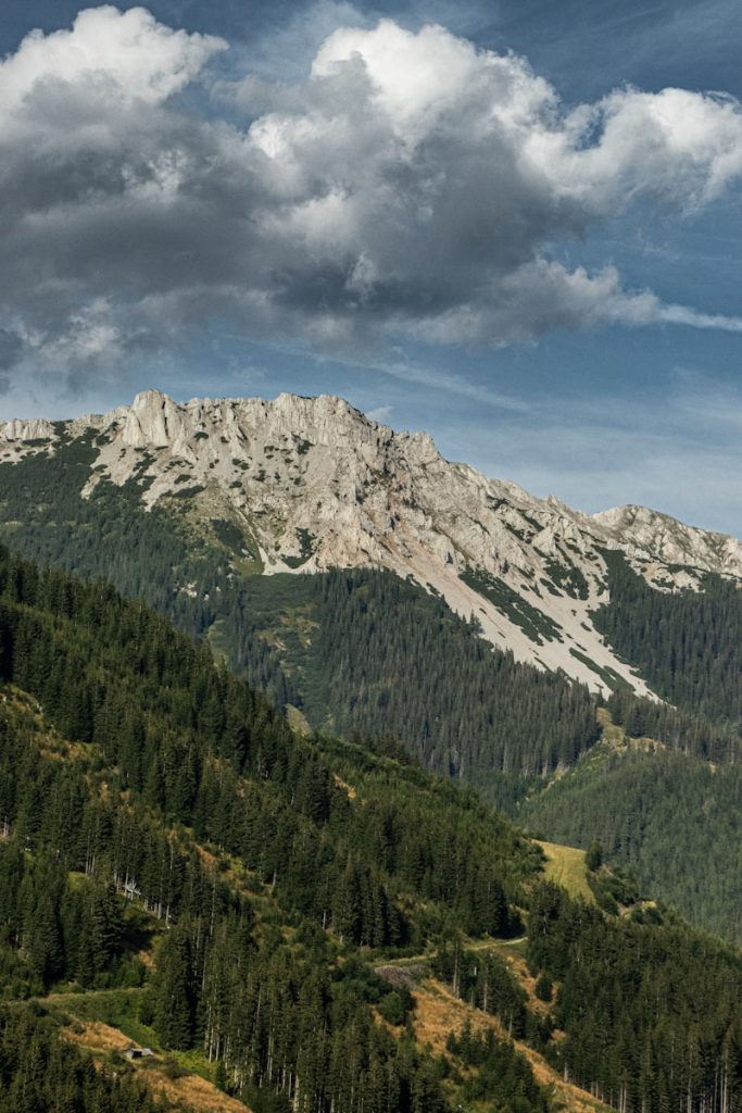a mountain with trees and clouds Präbichl